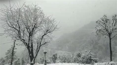 Amazing #Snowfall In Hill Station|| #Uttarakhand|| - YouTube