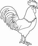25  Brilliant Photo Of Rooster Coloring Page Albanysinsanitycom sketch template
