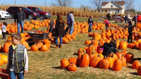 Frisco Fall Festivals and Pumpkin Patches - 2016