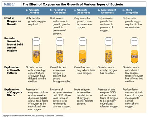 Growth conditions - Microbial Growth