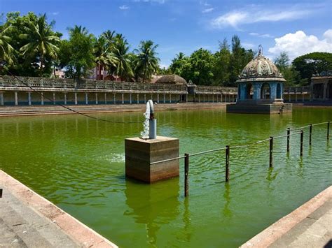 Vaitheeswaran Kovil - Picture of Vaitheeswaran Kovil Shrine to Mars ...