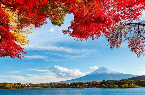 Fujiyama Full HD Wallpaper and Background | 2880x1892 | ID:541267