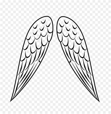 Bird Wing Drawing Clipart Wings - Angel Wings Clip Art Images – Stunning free transparent png ...