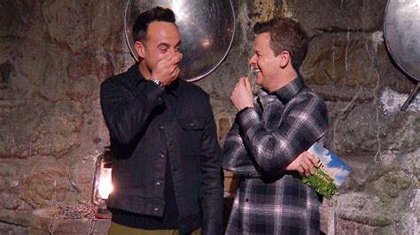 Ant and Dec reveal what they really do in the I'm A Celeb ad break | HELLO!