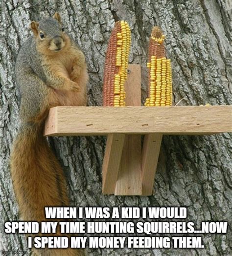 squirrel - Imgflip