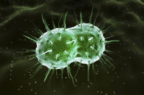 Gonorrhea: Signs, Symptoms, and Complications