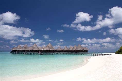 Coco Palm Dhuni Kolhu - Maldives Resort