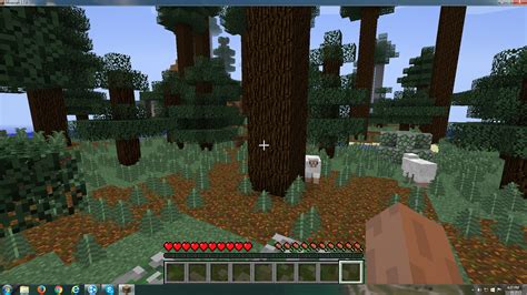 Is Mega taiga biome rare? - Rankiing Wiki : Facts, Films, Séries, Animes Streaming & entertainment