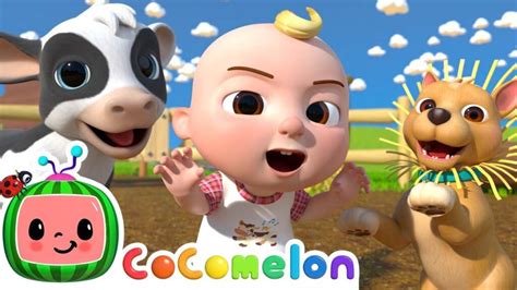 Old MacDonald (Baby Animals Edition) Lyrics - CoComelon - Kids Songs