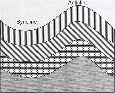 Show anticline and syncline with the help of a diagram. | KnowledgeBoat