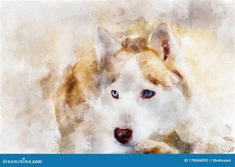 Watercolor Painting Illustration of Husky Dog Stock Illustration - Illustration of portrait ...