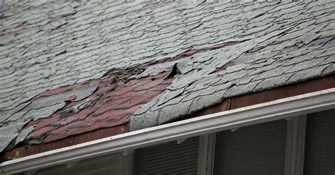 10 Reasons to Repair Roof Damage ASAP - Chattanooga Roofing Co.