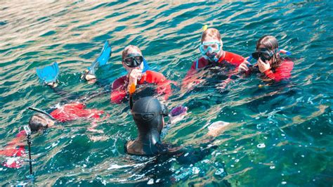 Discovering the Marine Park by Snorkeling - Sesimbra | Project Expedition