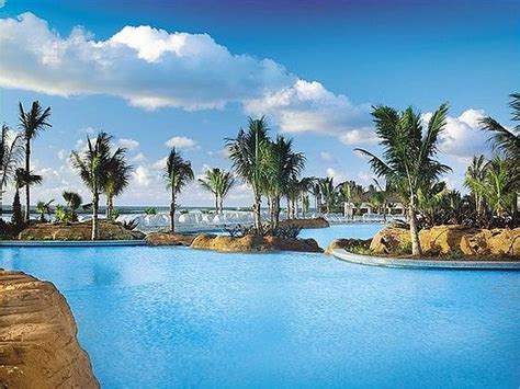 THE REEF AT ATLANTIS - Updated 2019 Prices & Hotel Reviews (Bahamas/New Providence Island ...