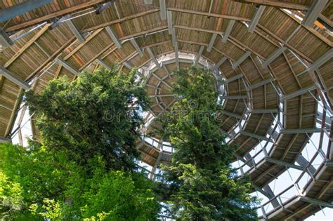 Inside of the Treetop Walk Tower in the Bavarian Forest National Park. Top of the Forest ...