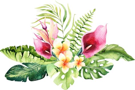 Download 4 - Hand Drawn Watercolor Tropical Flower PNG Image with No Background - PNGkey.com