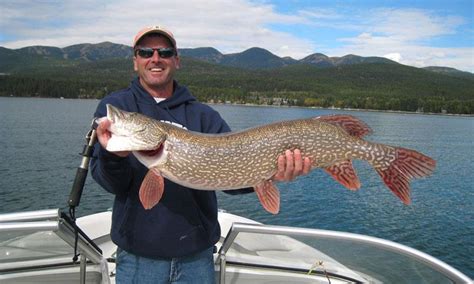 Whitefish Montana Fishing, Fly Fishing - AllTrips