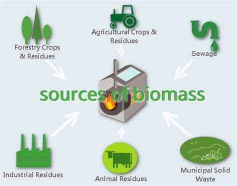 How Eco-Friendly Batteries Can Benefit From Biomass Energy