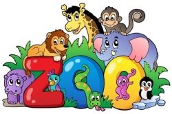 Geburtstag Zoo, Edingtons... | celiatyasuzan news