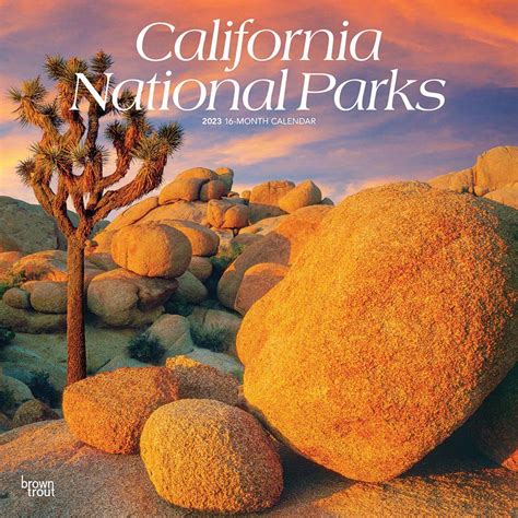 California National Parks | 2023 Square Wall Calendar – BrownTrout