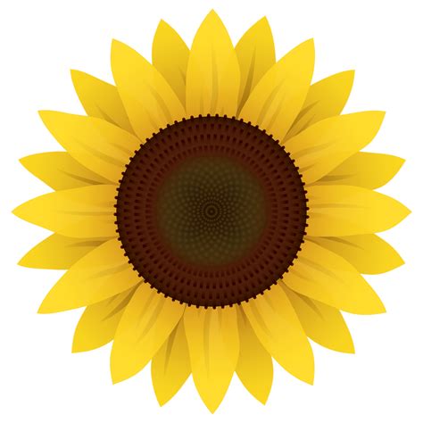 Sunflower Clipart Png - Clip Art Library