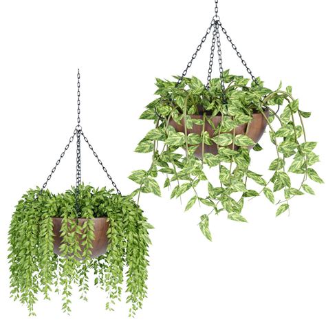 Hanging plants indoor collection 3D Models | CGTrader