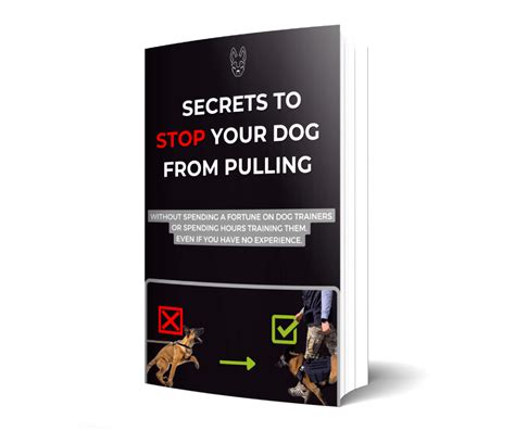 Secrets To Stop Your Dog From Pulling – Epic Malinois