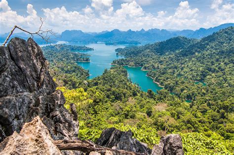 Khao Sok National Park Tree House