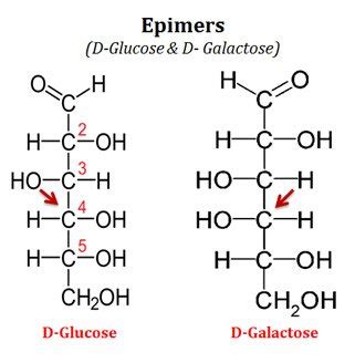 Monosaccharides Short Lecture Notes | EasyBiologyClass