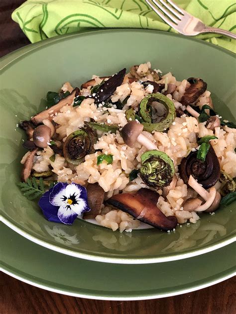 Fiddlehead Fern, Ramps & Wild Mushroom Risotto | Katy Keck