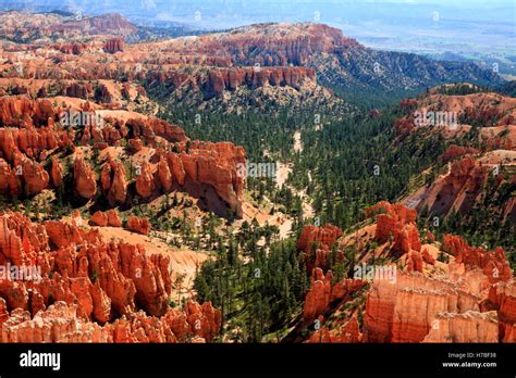 Hoodoo rock formations in Bryce Canyon National Park, Utah, USA Stock Photo - Alamy