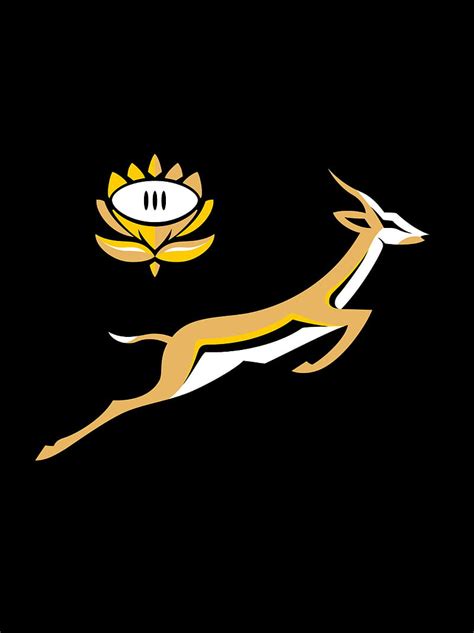 1920x1080px, 1080P free download | Springbok, HD wallpaper | Peakpx