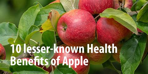 10 Health Benefits of Apples: The Untold Perks of this Common Fruit - Dr. Brahmanand Nayak