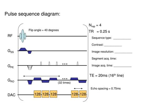 PPT - fMRI: Biological Basis and Experiment Design Lecture 9: Pulse ...