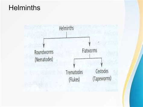 Anthelmintics drugs classification,history,mechanism of action and adverse effect