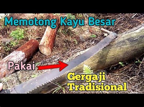 Memotong Kayu Besar Dengan GERGAJI TRADISIONAL - YouTube