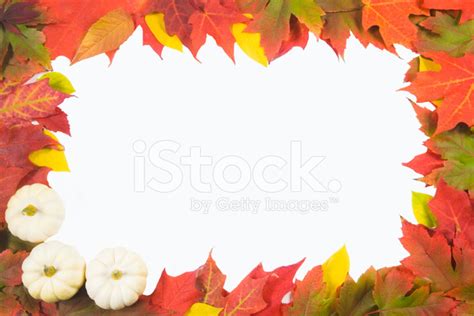 Autumn Leaves and Pumpkins Border (isolated on White) V Stock Photos - FreeImages.com