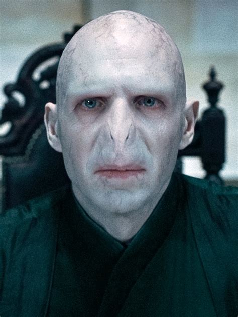 Lord Voldemort | Warner Bros. Entertainment Wiki | FANDOM powered by Wikia