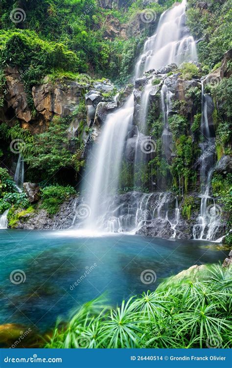 Mountainside waterfall stock photo. Image of bassin, greenery - 26440514