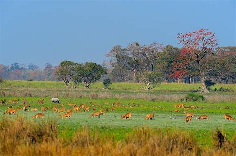 World Natural Heritage Sites of India: The 7 Sites You Must Visit ...