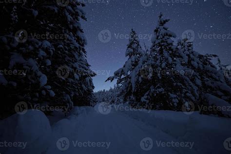 winter night landscape nature forest 10702461 Stock Photo at Vecteezy