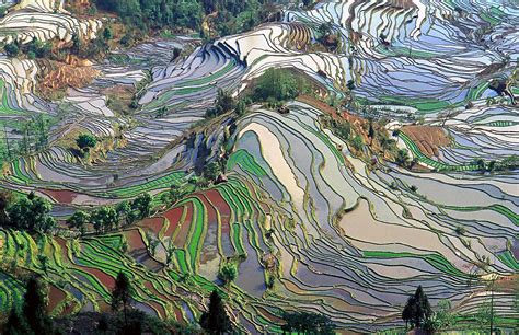 File:Terrace field yunnan china denoised.jpg - Wikimedia Commons