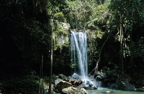 Gold Coast Hinterland - Things To Do - Gold Coast Australia