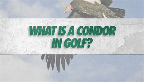 What is a Condor in Golf? (Extremely Rare!) • Honest Golfers