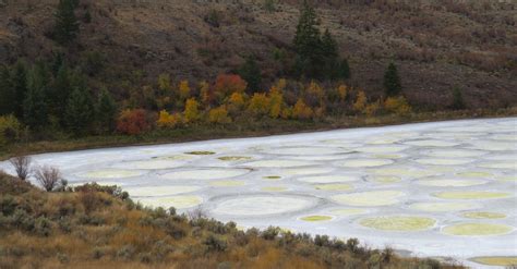 Free stock photo of Spotted Lake Osoyoos BC