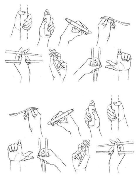 Hands holding things | Dibujos de personas, Drawing lessons y Referencia manual