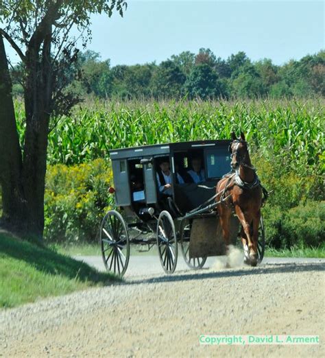 Amish Country, Indiana | Indiana travel | Pinterest