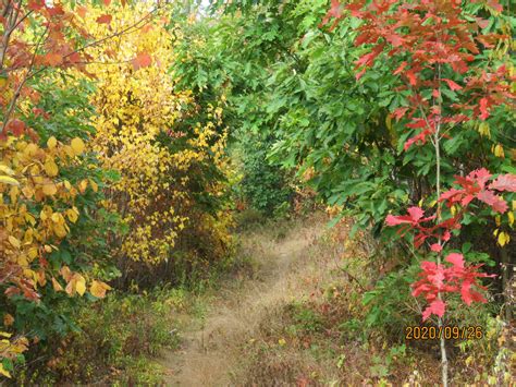 NPC Members Walk in Penn's Woods - Northcentral Pennsylvania Conservancy