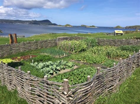 Bees, bread and backyard farming: Hear about it all at Homestead-a ...