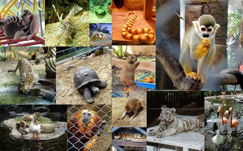 tesyasblog : The Best Zoo in Indonesia: Batu Secret Zoo